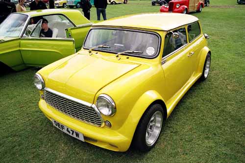 Chopped Mini
