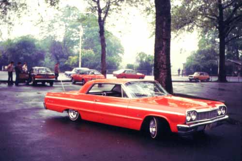 Orange impala